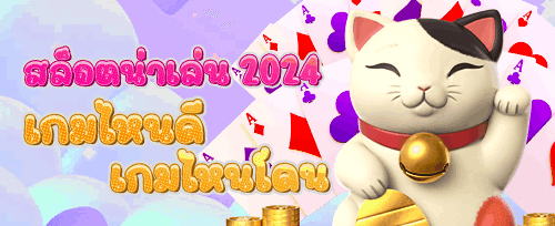 คืนยอดเสียรายวัน VIP Cashback